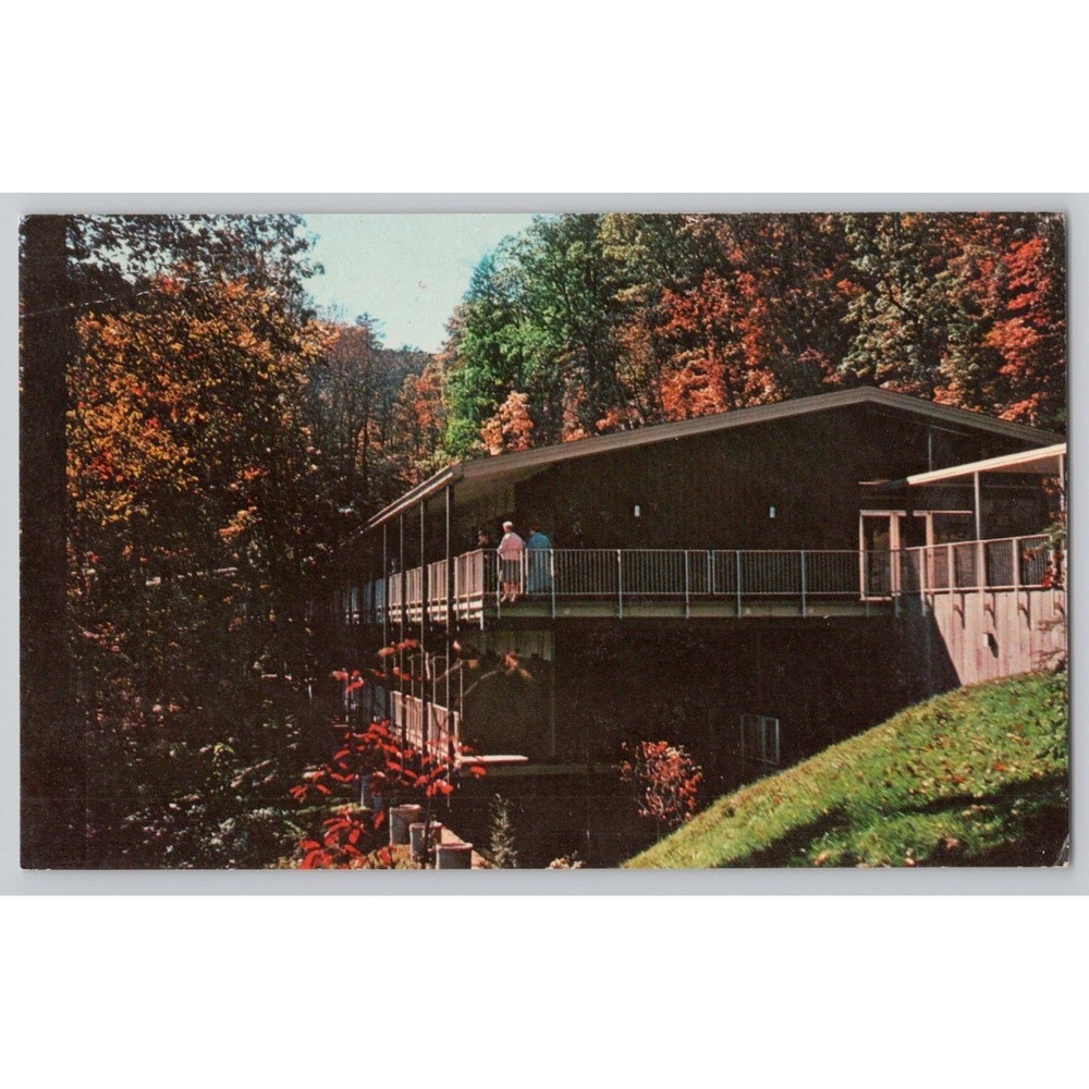 POSTCARD Slade KY Kentucky Hemlock‎ Lodge Natural Bridge State Park c1970s